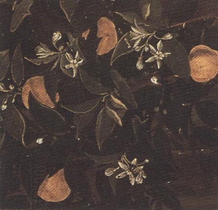 Sandro Botticelli Details of Primavera (mk36) China oil painting art